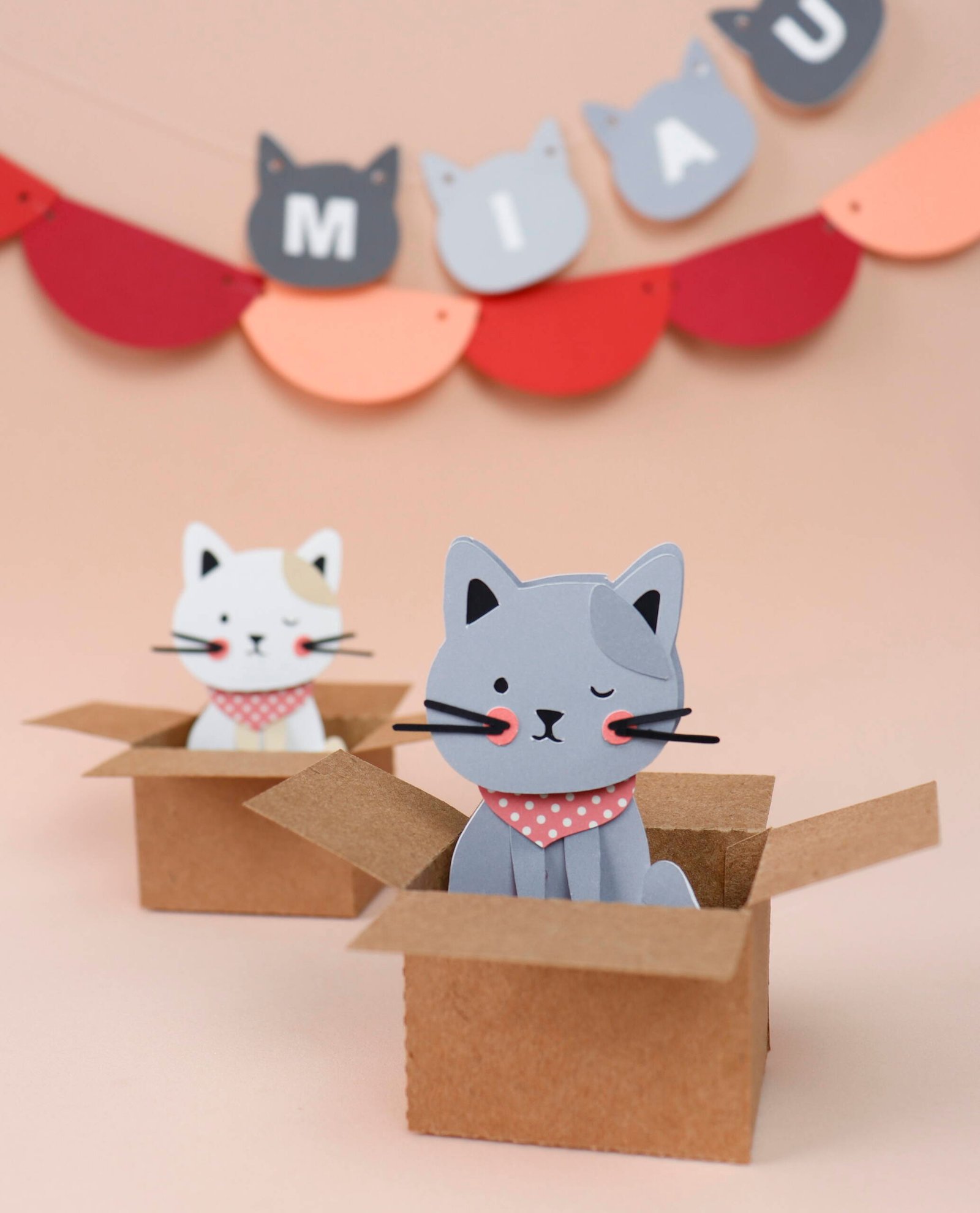 Arquivo Caixa Mudança com Gatinho